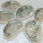 Abalone Mabe Pearl