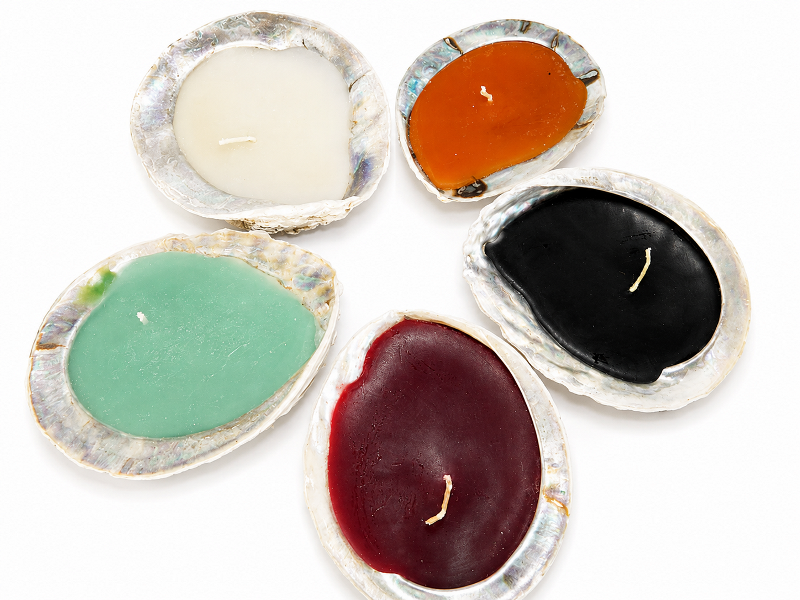 Candle Abalone Wax CodeS146