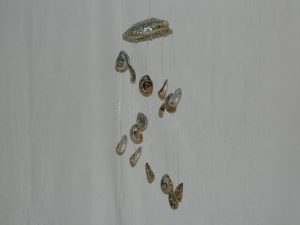Chime Polished Abalone with Stiffy Shells