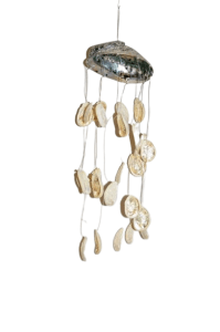 Chime Polished Abalone with twirly baby Abalone shells