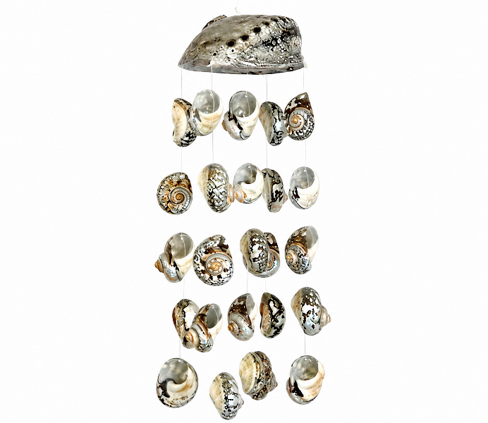 Wind Chime – Abalone Natural Polished Shell with Sarmaticus Natural Polished Shells CodeSC003