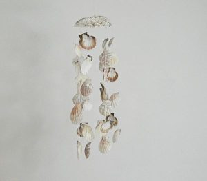 Chime Polished Abalone with Pectrums