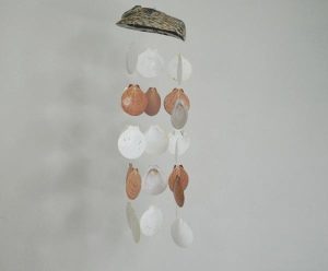 Chime - Scallops Brown & White CodeSC024