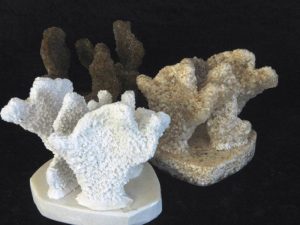 Coral made with Resin