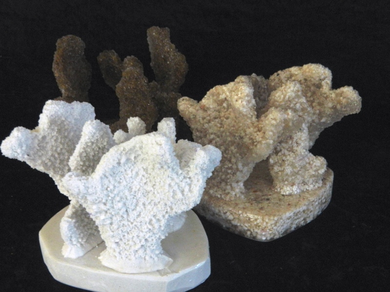 Coral made with Resin