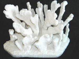 Coral made with Resin