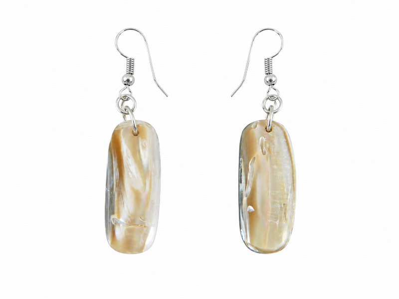 Sea Shell Jewellery – Earrings- Abalone Oblong CodeJE018