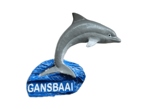Magnet Dolphin