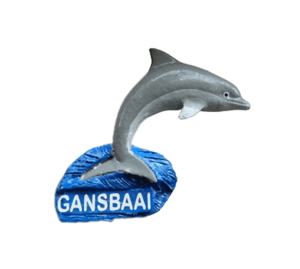Magnet Dolphin