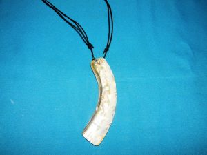 Sea Shell Necklace – Abalone Qtr