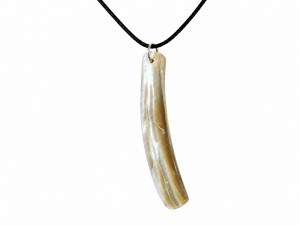 Necklace - Abalone Curve CodeJN005