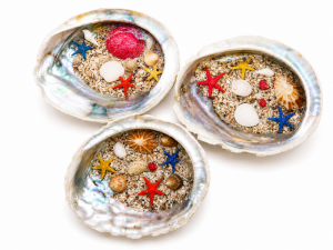 Abalone Resin Sea Theme CodeRE001
