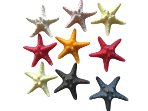 Starfish Resin - Horned Size5-6cm