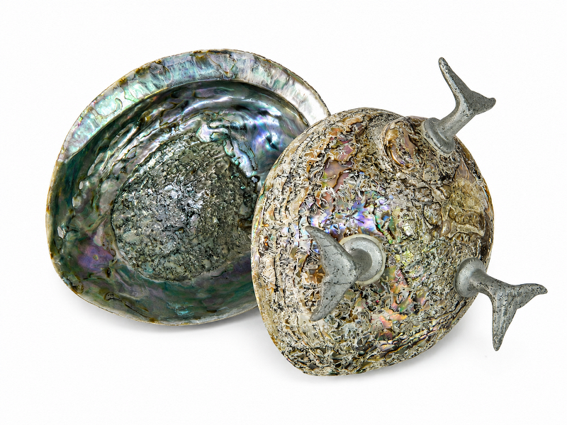 Abalone with Whale Tail Feet CodeS135