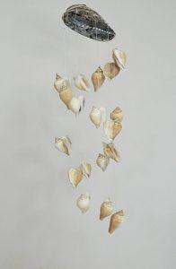 Chime-Abalone-Fighting-Conks-CodeSC034-