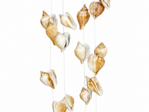 Wind Chime - Abalone Natural Polished Shell with Fighting Conch Shells CodeSC034