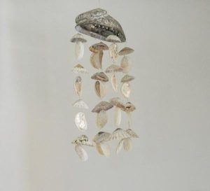 Chime - Limpet & Baby Abalone CodeSC061