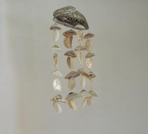 Chime - Limpet & Baby Abalone CodeSC061