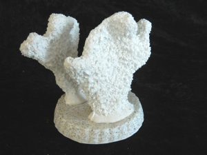 Coral made with Resin