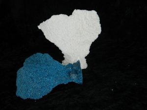 Coral made with Resin