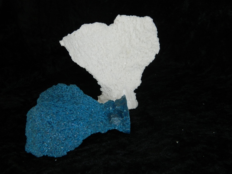 Coral made with Resin