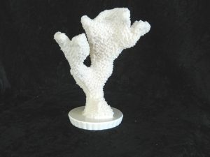 Coral made with Resin