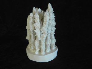 Coral made with Resin