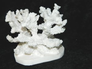 Coral made with Resin