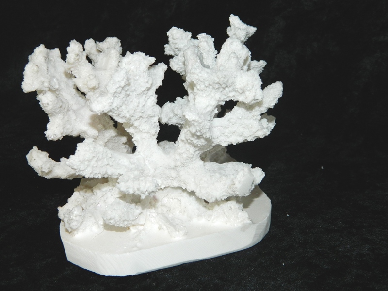 Coral made with Resin