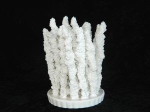 Coral made with Resin