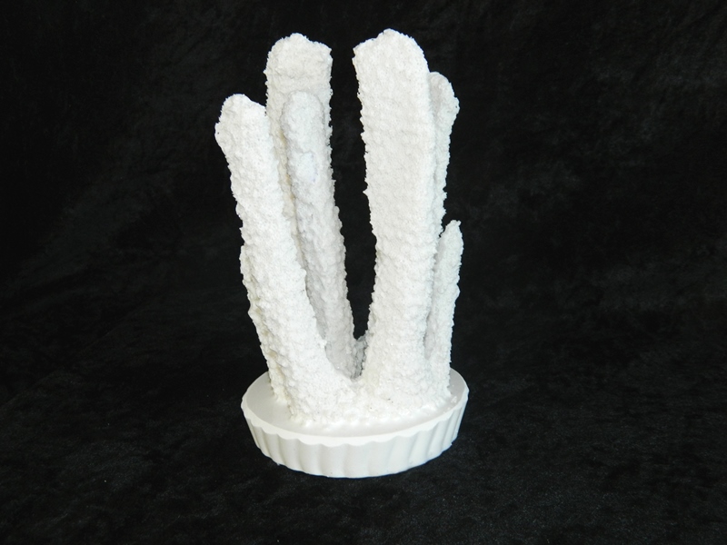 Coral made with Resin