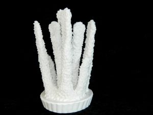 Coral made with Resin