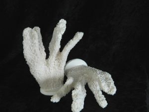 Coral Resin Size15cmX6cm