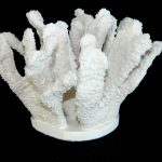 Coral made with Resin