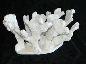 Coral made with Resin