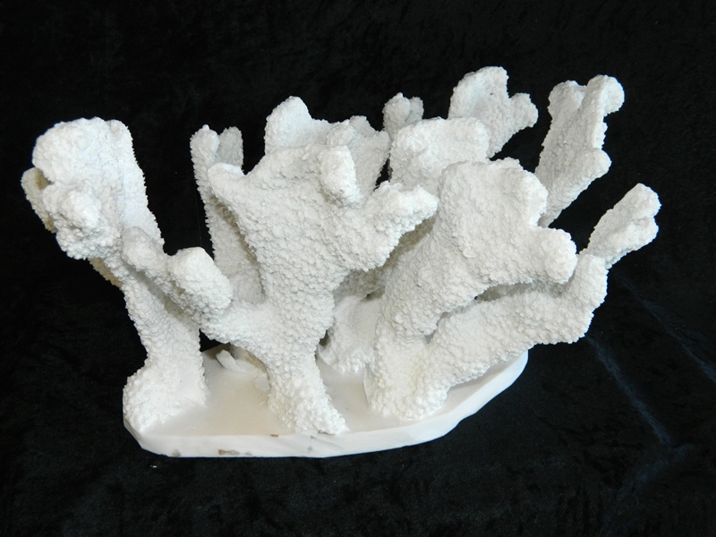 Coral made with Resin