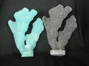 Coral made with Resin