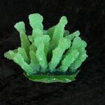 Coral made with Resin