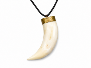 Lions Tooth Necklace CodeLT004