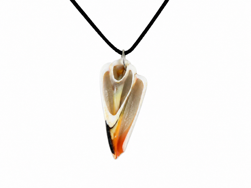 Necklace  – Cut Shell CodeJN009