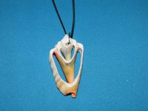 Sea Shell Necklace – Cut Shells