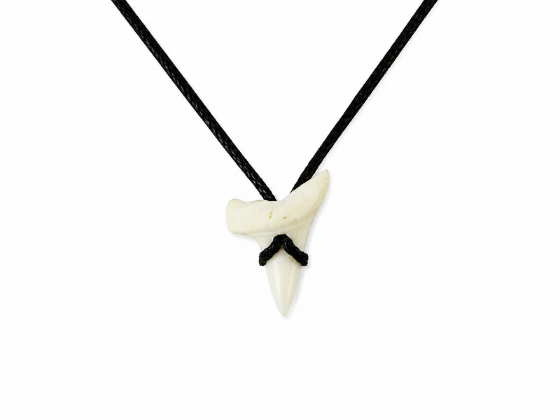 Mako Shark Tooth Necklace Cord Size 1.75-2.5cm CodeMS019
