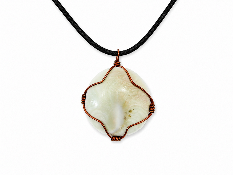 Necklace – Opperculms  Polished  CodeJN041