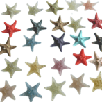 Starfish Resin - Horned Size3.5cm
