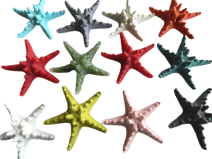 Starfish Resin - Horned Size8-9cm