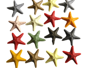 Starfish Resin - Jungle Size5cm