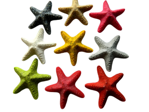 Starfish Resin - Jungle Size8cm