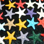 Starfish Resin Jungle Star C 4 CodeRFS03