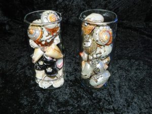 Vase with assorted shells