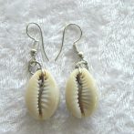 Sea Shell Earring - Cowrie